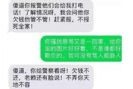 临沧贷款清欠服务